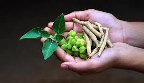 Ashwagandha Granules